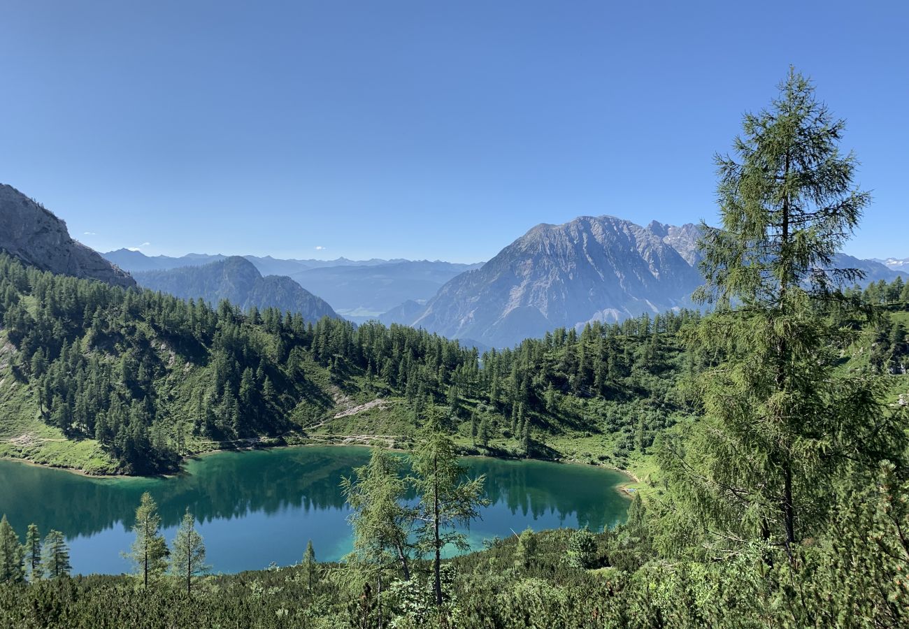 Apartment in Tauplitz - Penthouse Grimming D7.1