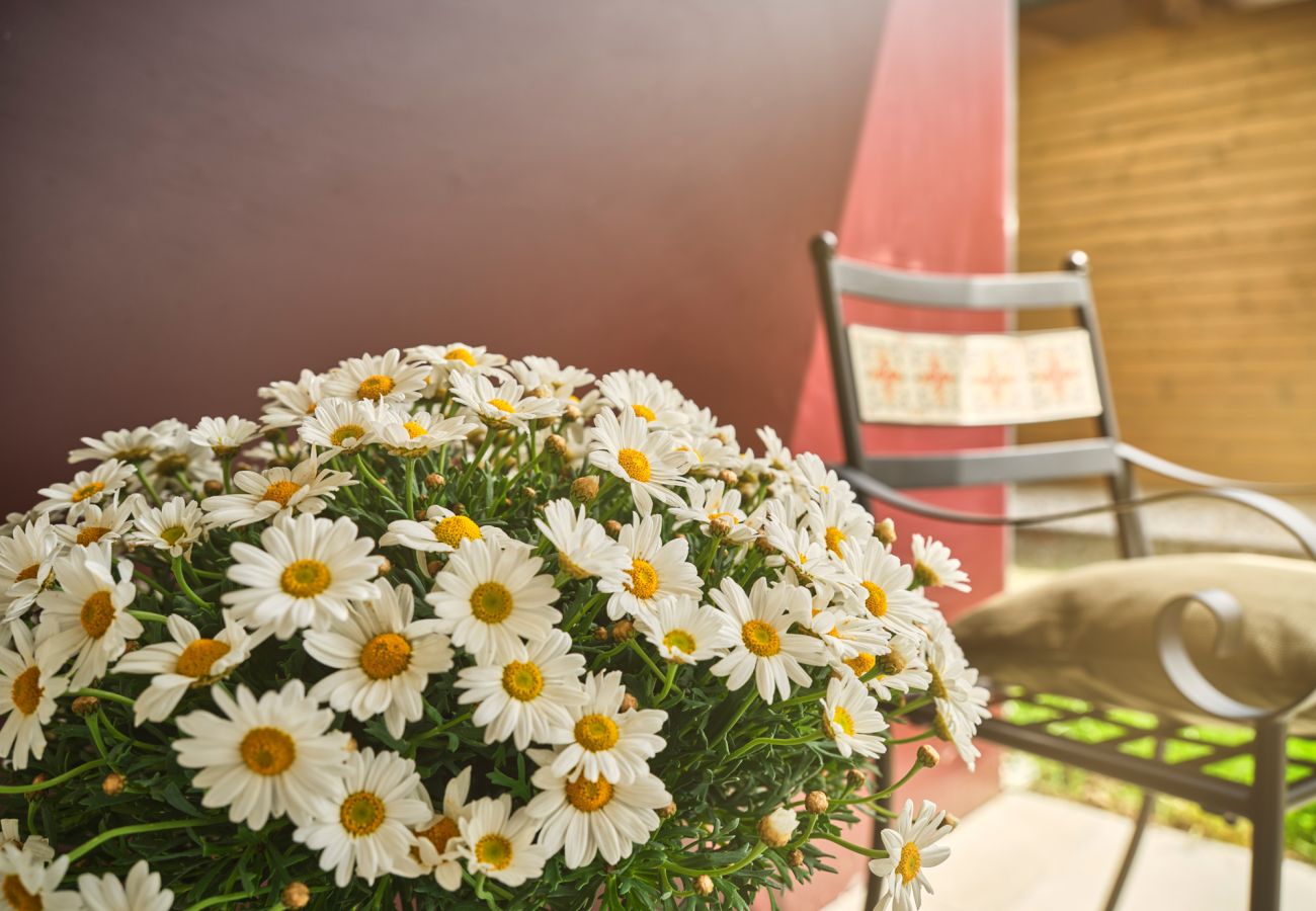Apartment in Öblarn - Sunlodge Öblarn Top B1/ Schladming-Dachstein