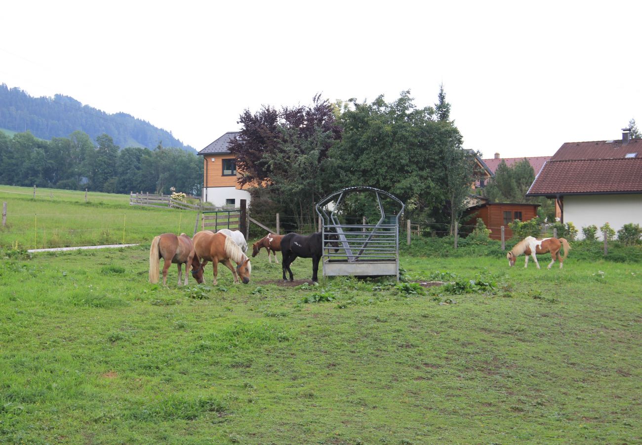 House in Aich-Assach - The Villa - Glücksthaler Aich