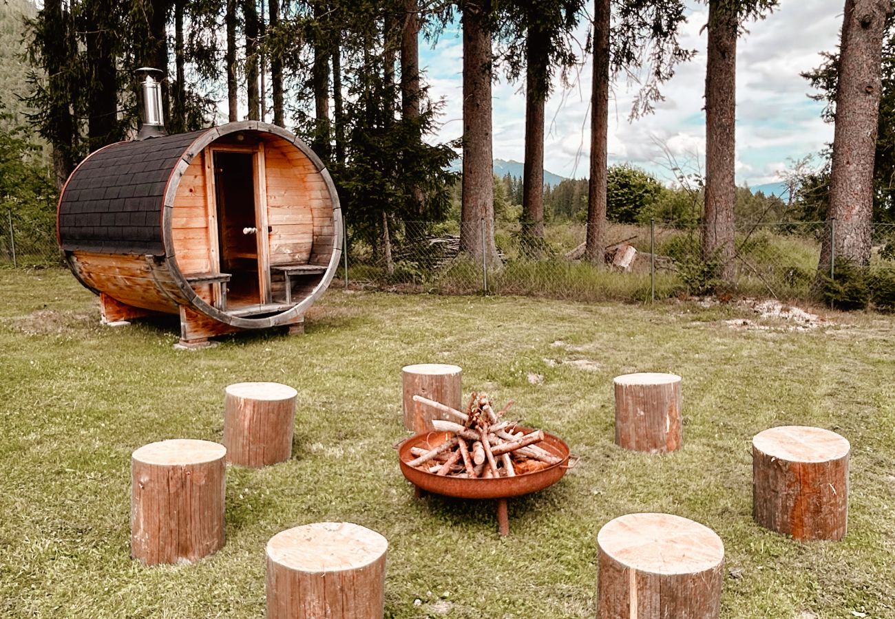 House in Haus im Ennstal - CHILLHAUS Pear Mountain