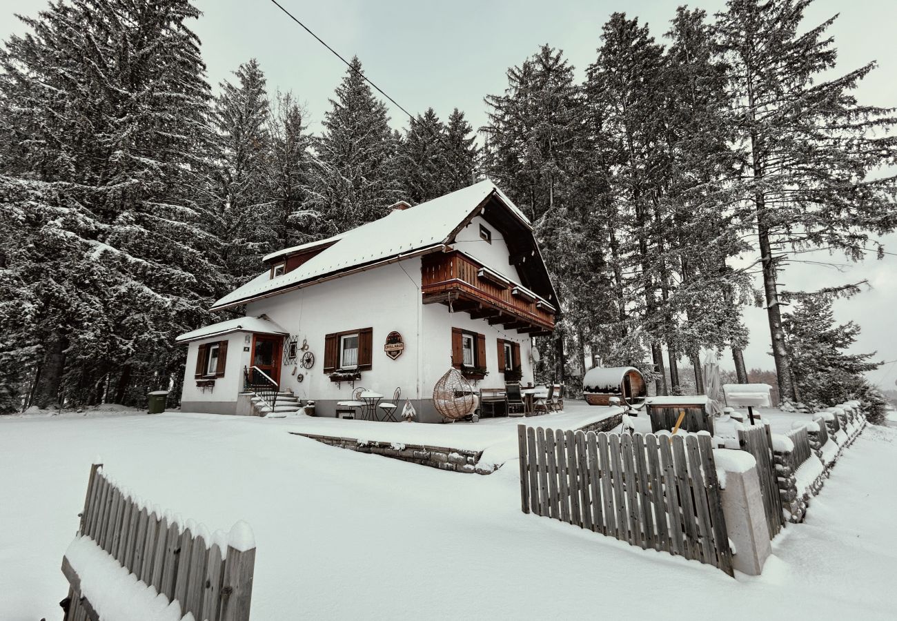 House in Haus im Ennstal - CHILLHAUS Pear Mountain