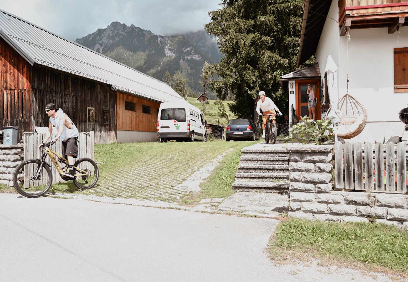 House in Haus im Ennstal - CHILLHAUS Pear Mountain