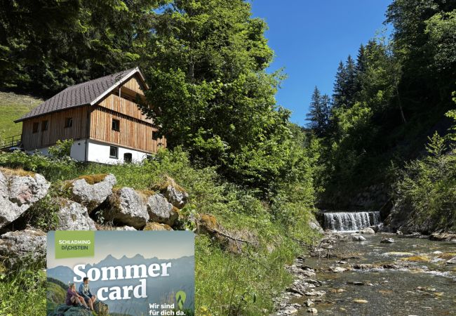 Apartment in Öblarn - LostGarden Öblarn Top 1 - Adults only hideaway
