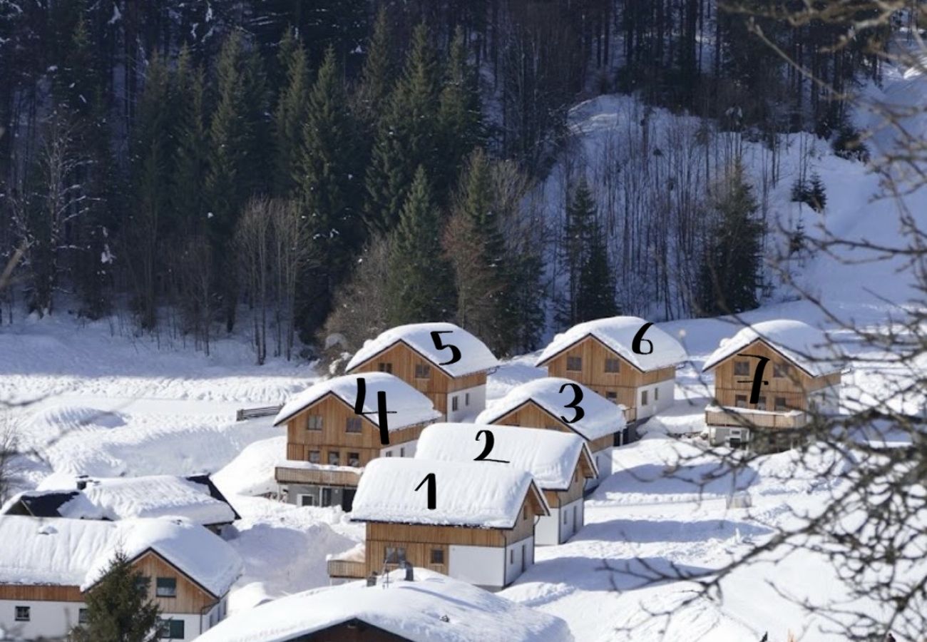 Chalet in Altaussee - Hideaway Chalets Loser - 7