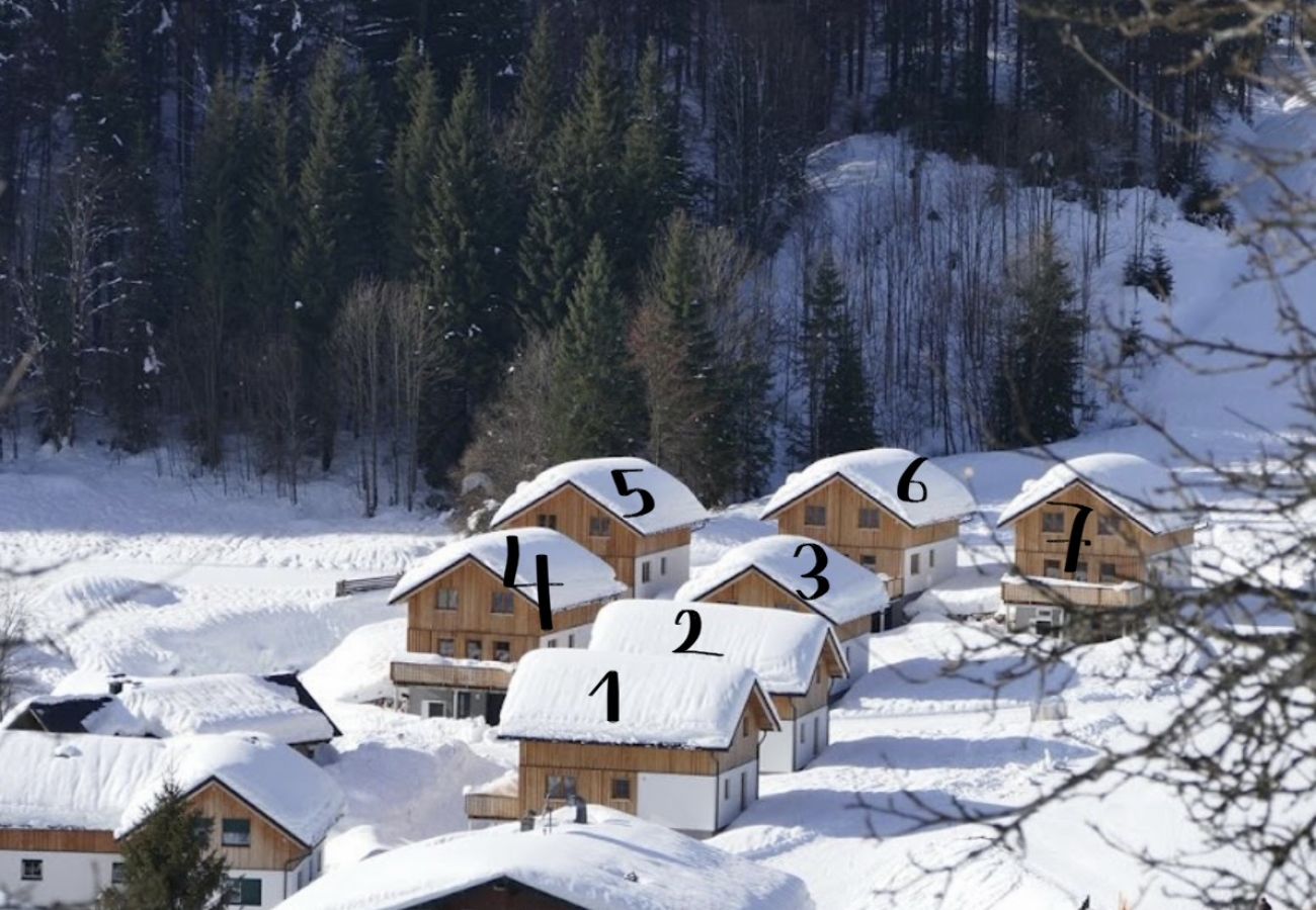 Chalet in Altaussee - Hideaway Chalets Loser - 4
