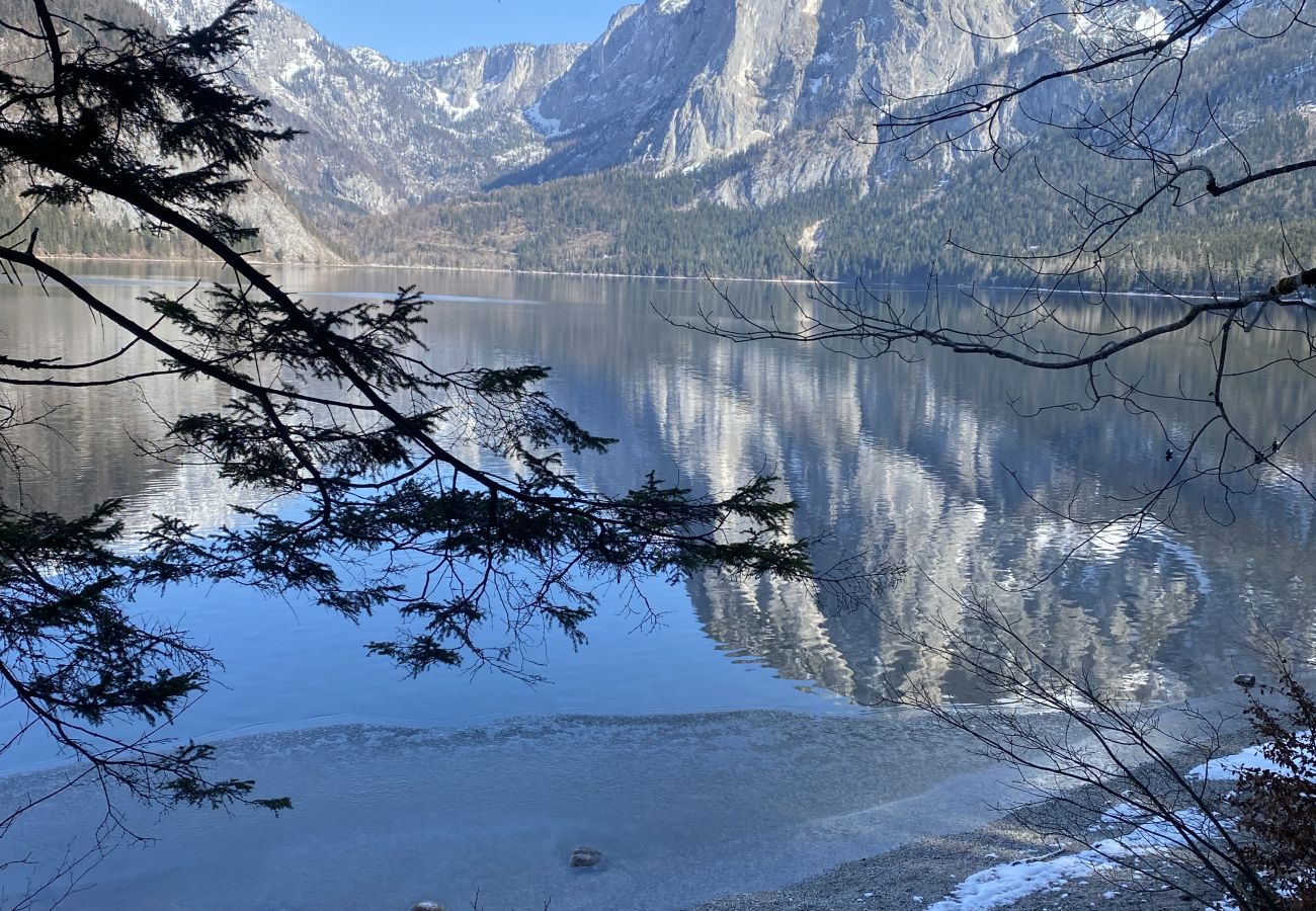 Chalet in Altaussee - Hideaway Chalets Loser - 4