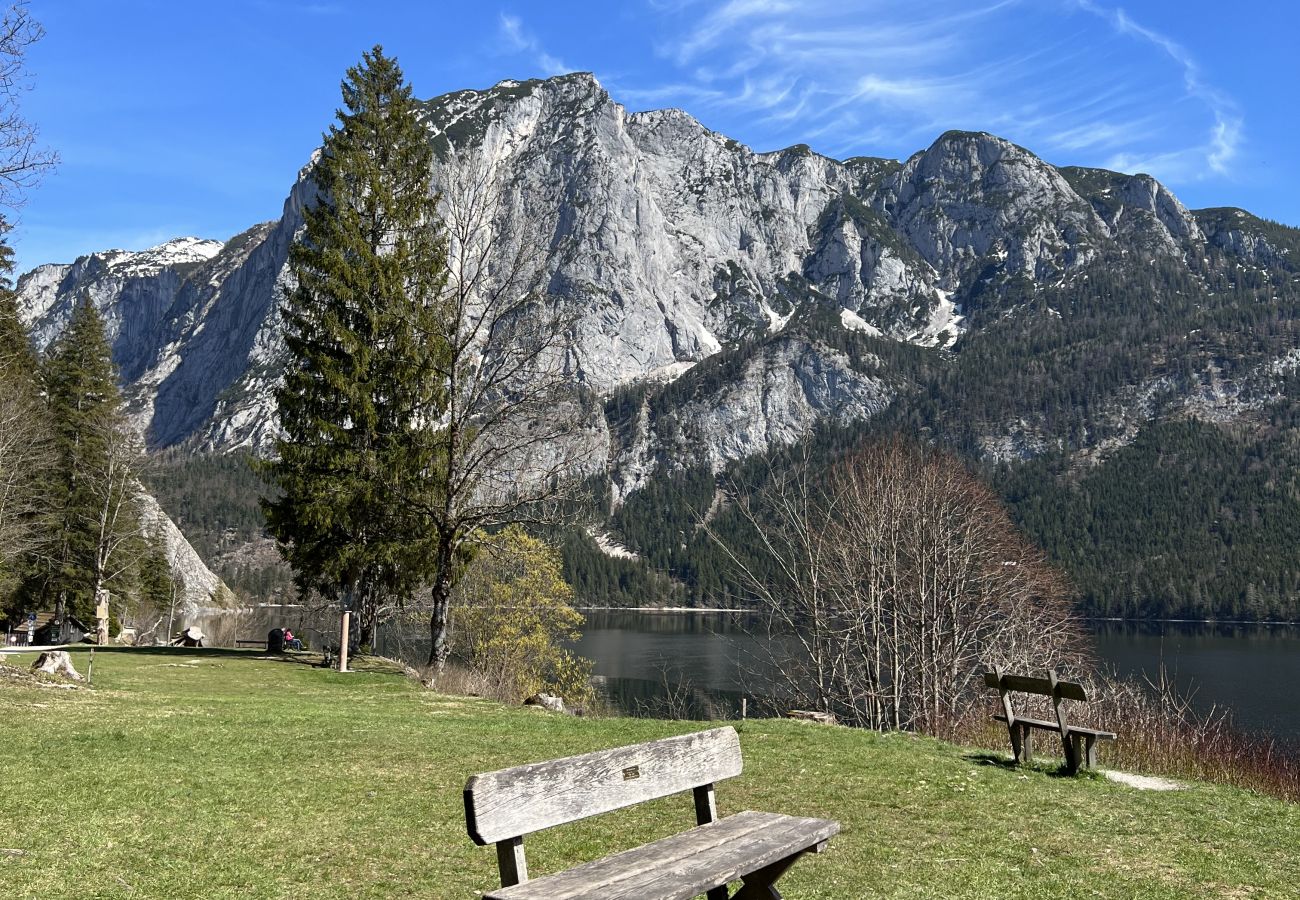 Chalet in Altaussee - Hideaway Chalets Loser - 4
