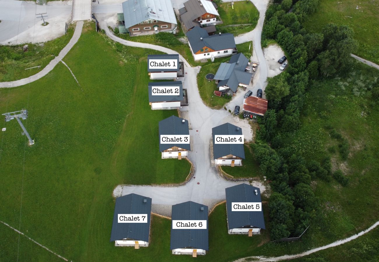 Chalet in Altaussee - Hideaway Chalets Loser - 4