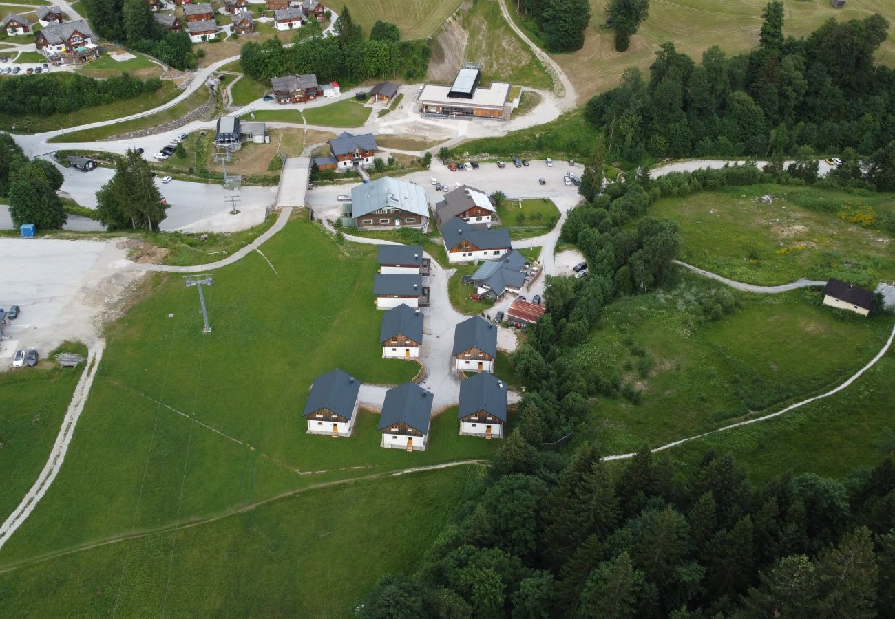 Chalet in Altaussee - Hideaway Chalets Loser - 4