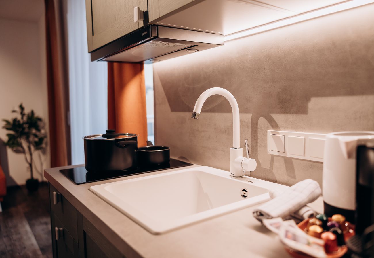 Apartment in Irdning - Bergtraum Appartements - Kopenhagen  4