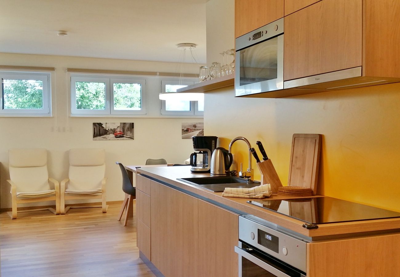 Ferienwohnung in Schladming - Apartment Fastenberg Top 11