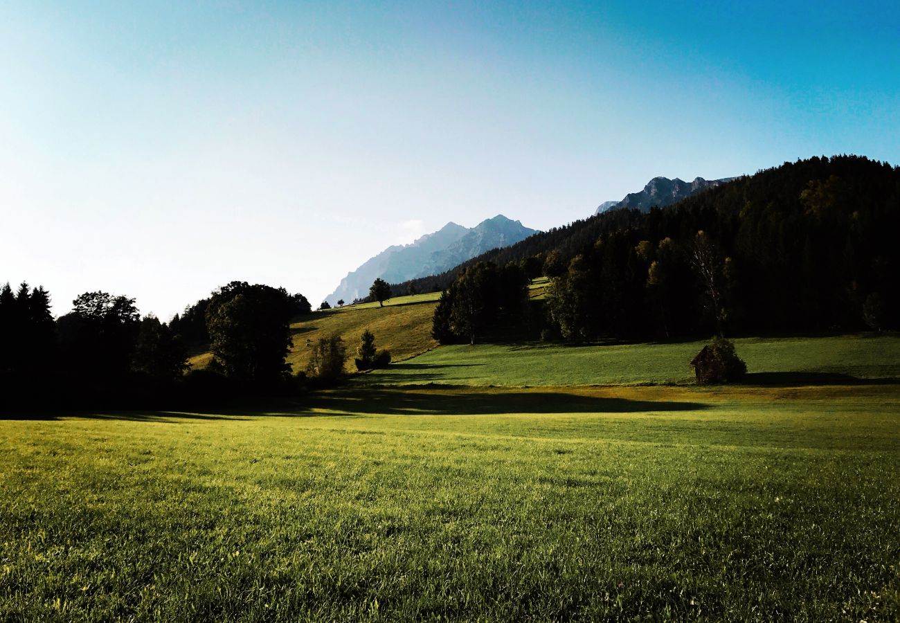 Ferienhaus in Haus im Ennstal - CHILLHAUS Pear Mountain