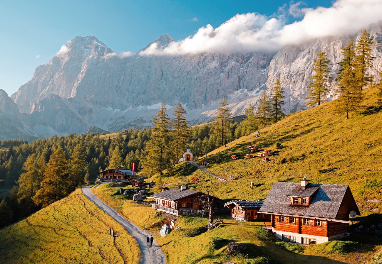 Ferienhaus in Haus im Ennstal - CHILLHAUS Pear Mountain