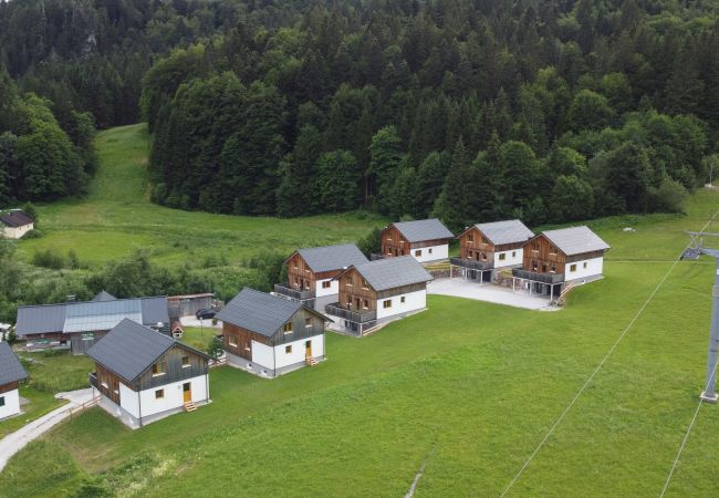 Chalet in Altaussee - Hideaway Chalets Loser - 7
